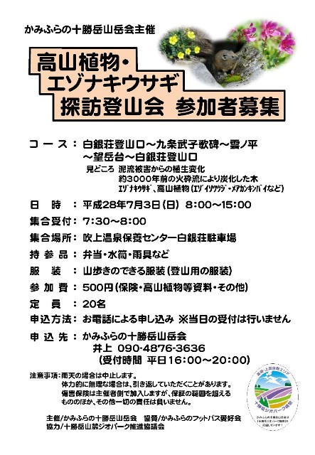 「高山植物・エゾナキウサギ探訪登山会」参加者募集