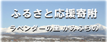 ふるさと応援寄附（ふるさと納税）