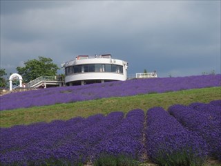 14.展望台が見えます