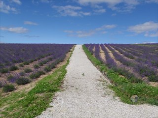 30.また散策路を歩いてみよう