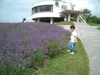 37.また見に来てね