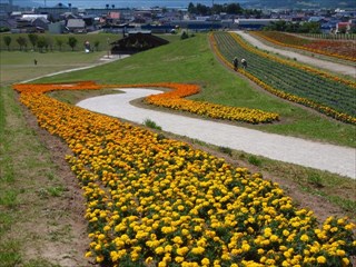 39.花の小径を通って帰りましょう