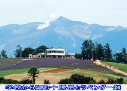 学校から望む十勝岳とラベンダー畑